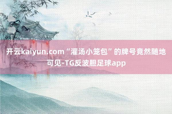 开云kaiyun.com“灌汤小笼包”的牌号竟然随地可见-TG反波胆足球app